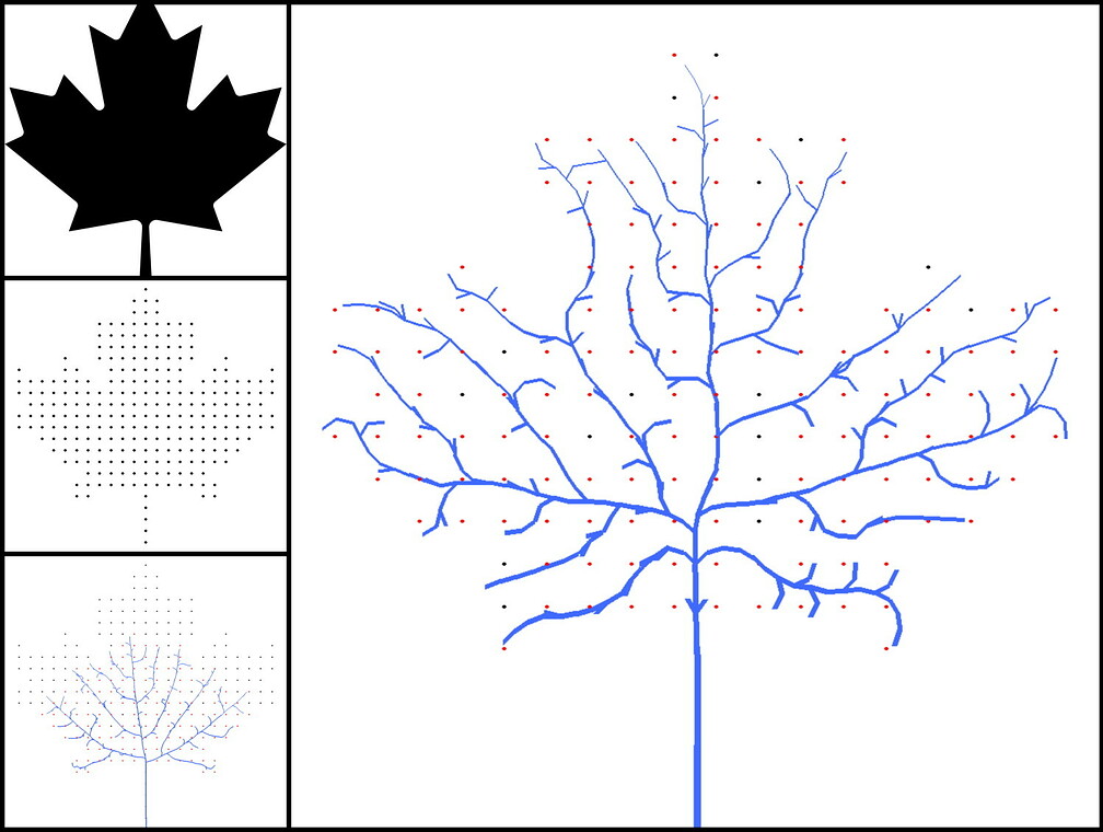 Mit dem von der Biologie inspirierten Space-Colonization-Algorithmus lassen sich Blätter simulieren.