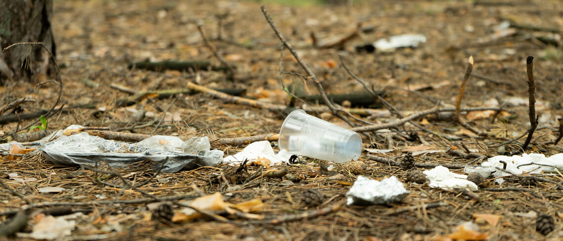 Plastikmüll auf dem Waldboden