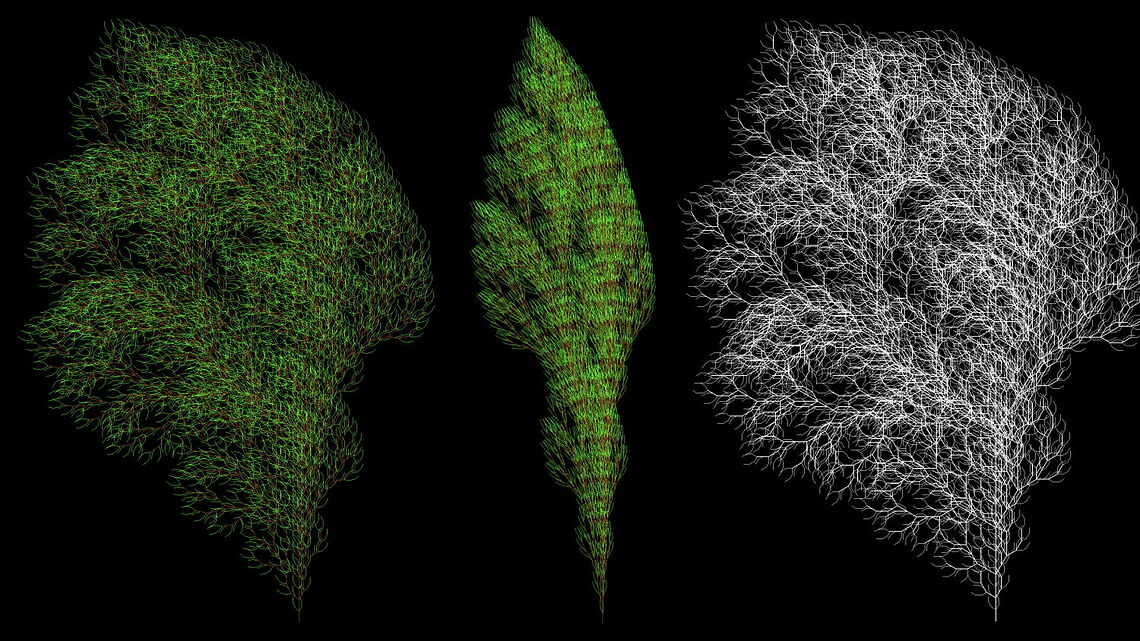 Mit Lindenmayer Systemen lassen sich Strukturen bilden, die an natürliche Pflanzen erinnern.