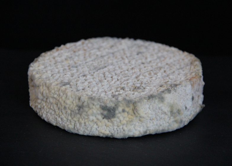 Cheeses-made-with-human-bacteria-recreate-the-smell-of-armpits-or-feet_dezeen_ss_1