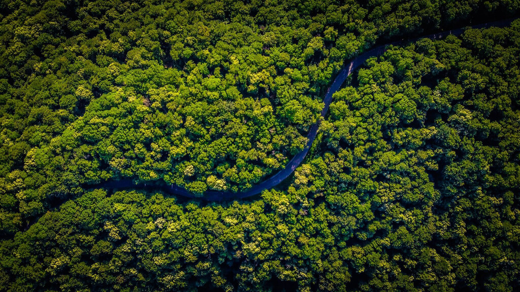Jedes Jahr werden für den Kakao-Anbau Millionen Hektar Regenwald gerodet. Bild: QOA